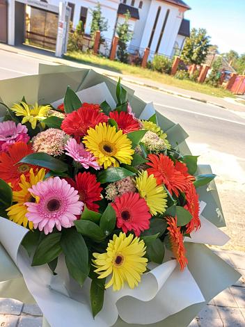 Букет цветов из: Герберы в Пестрецы